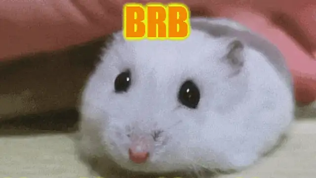 Lolly_Fly: вебкам-шоу