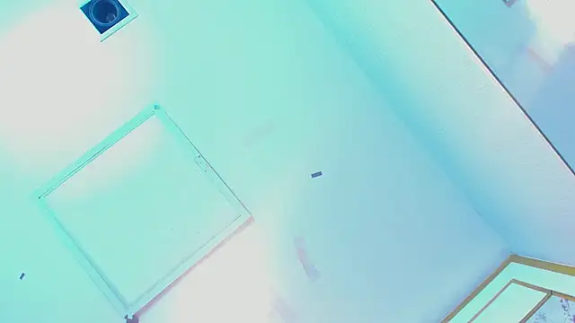 Sofi_Fox_n Live XXX chat