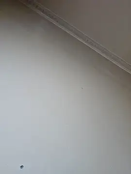 Angalassclipcrap's Live XXX Chat