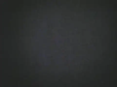 TheBunnyAndTheMaster's Live XXX Chat