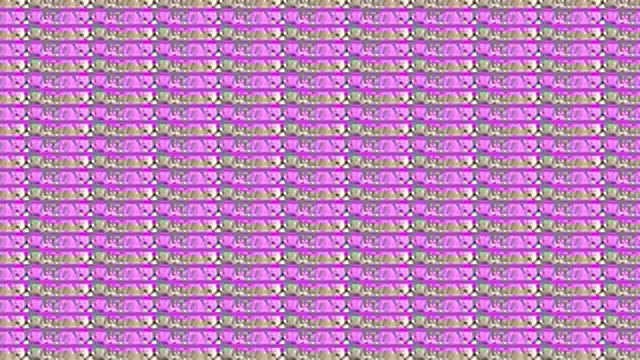 TittyLandQuebec's Live XXX Chat