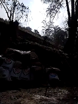 omai-ngot's Live XXX Chat