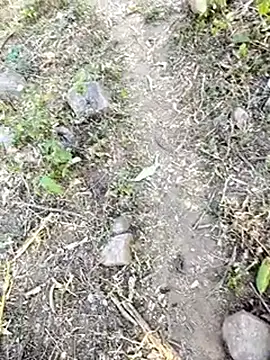 desi_alpha_boy's Live XXX Chat