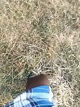 dolphiinn's Webcam Show