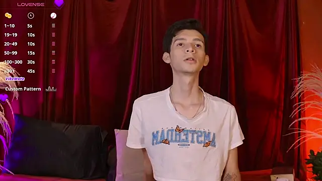 Show de VicenteFerrer na webcam