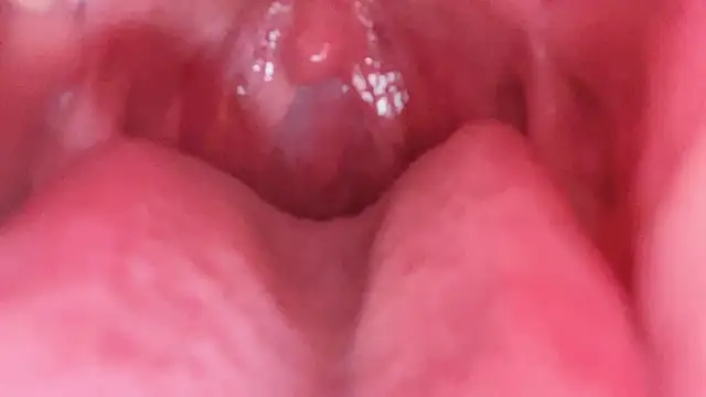 LT-333 Live XXX-chat