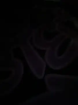 czruz's Live XXX Chat