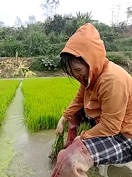 Tin_tanny's Live XXX Chat