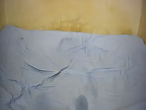 choco_wet's Live XXX Chat