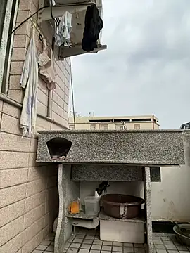 daaqnn's Live XXX Chat