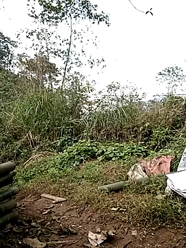 ngan-cute's Live XXX Chat