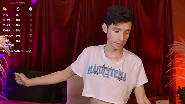 عرض كام VicenteFerrer