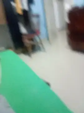 Pikarosa98n Webbikameraesitys