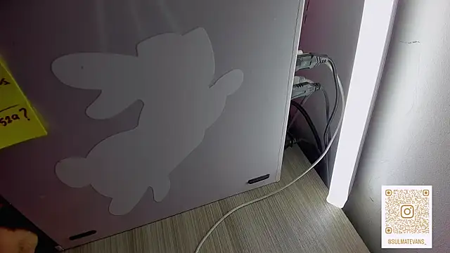 _sulmatevans_'s Live XXX Chat