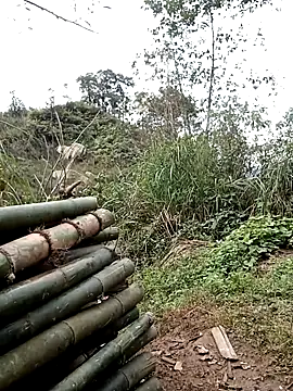 ngan-cute's Live XXX Chat