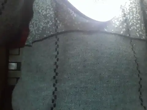 Stubborndesiboyのウェブカメラショー