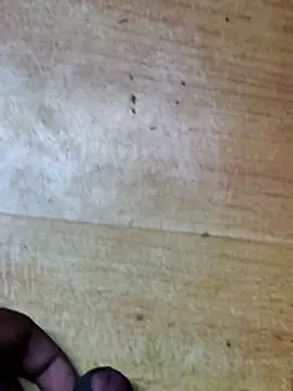 Markroco696's Webcam Show