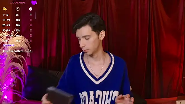 VicenteFerrer webkamerás műsora