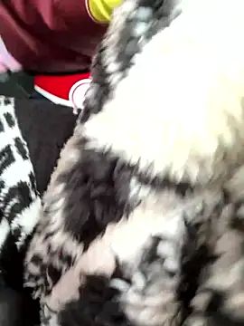 Chat XXX Live daaqnn