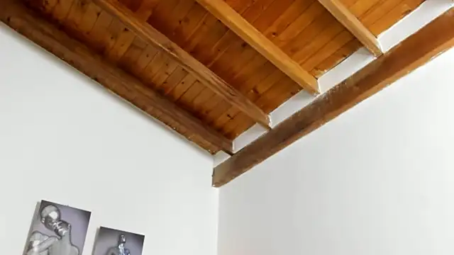 dante_hottx's Webcam Show