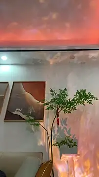 Chat XXX en directo de zhizhinaigai