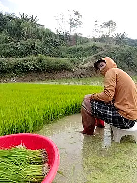 Tin_tanny 现场XXX聊天