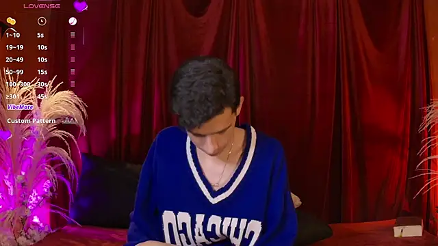 VicenteFerrer webkamerás műsora