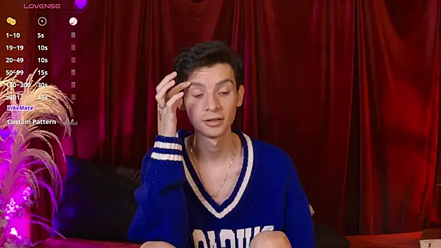 VicenteFerrer: διαδικτυακό σόου στην κάμερα