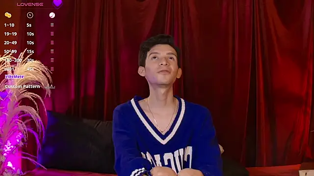 VicenteFerrer's Webcam Show