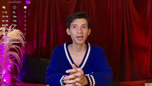 VicenteFerrer's Webcam Show