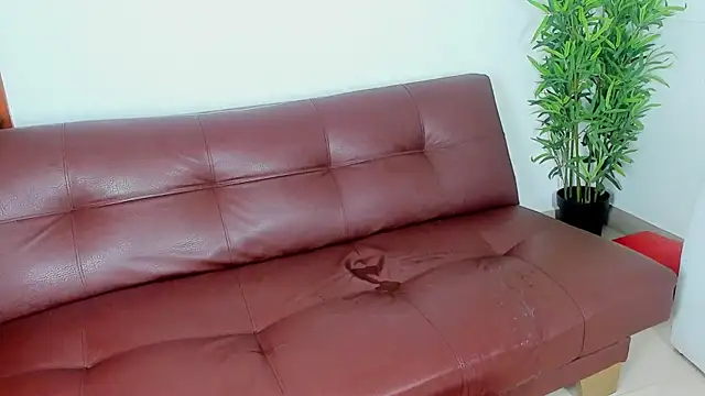 Crazy_nigth01 – webcam-show