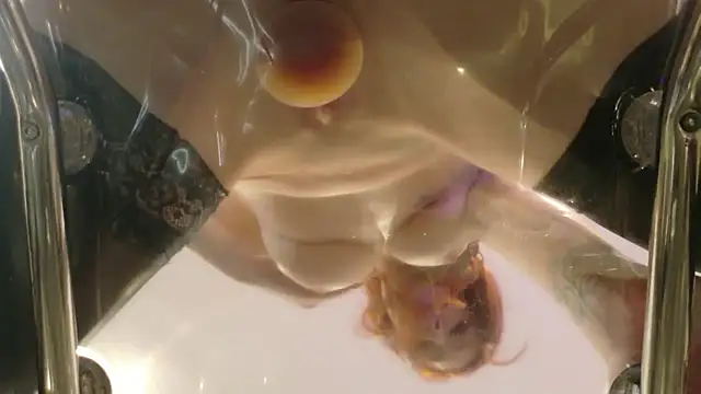 Chat XXX en directo de Midnightrose11