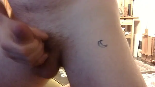 Show Webcam de TenFifty1050