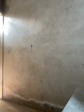 lysexy88 라이브 XXX 채팅