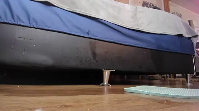 ArielleWilde's Live XXX Chat