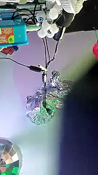 gurlnips Live XXX-Chat