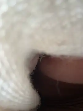 eveangelll's Live XXX Chat