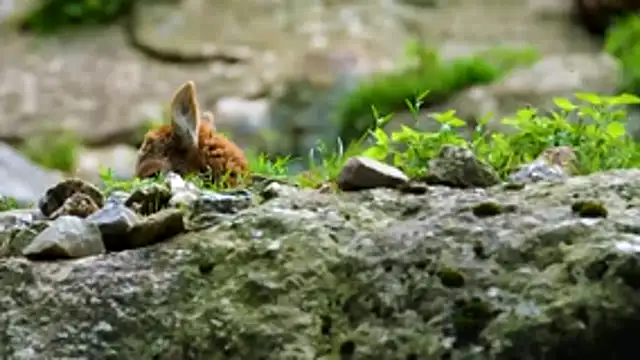 streamy_test13's Webcam Show