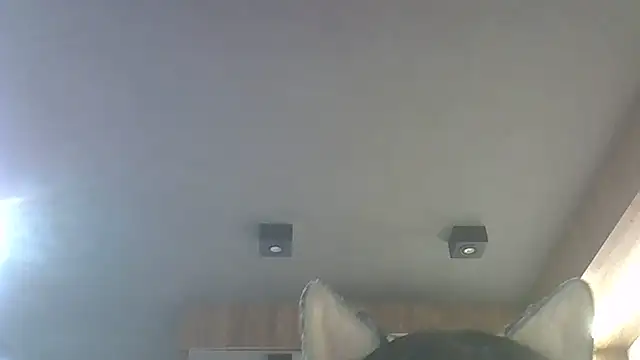 SkinnyKitten's Live XXX Chat