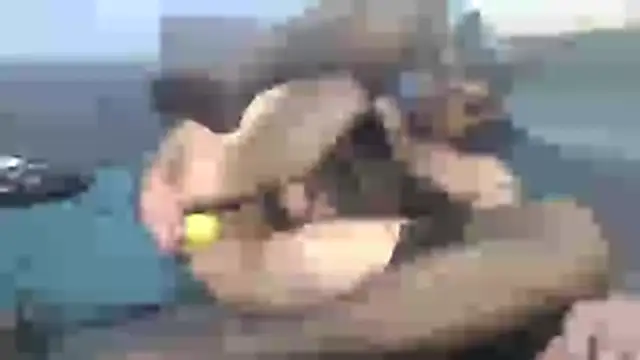 chceciedalsiebie's Webcam Show