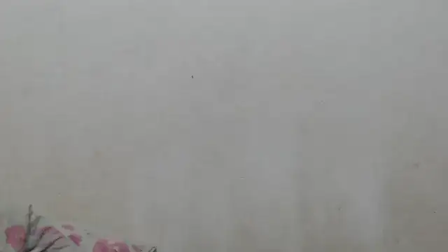 girl_tits' Live XXX Chat