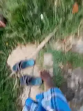 dolphiinn Live XXX-Chat