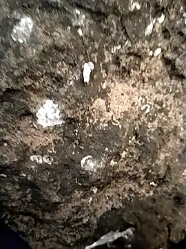 Show modela Guru2 na web-kameri