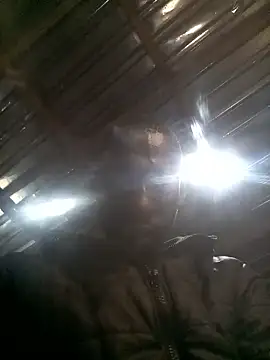 Chatroom XXX en direct de Singleandserching