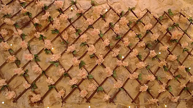 Онлайн чат XXX VenusBlazer