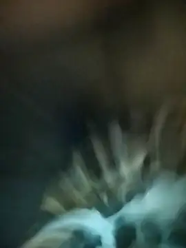 Chatroom XXX en direct de SWEETLUNA077