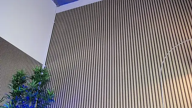 TheaBrown 现场XXX聊天