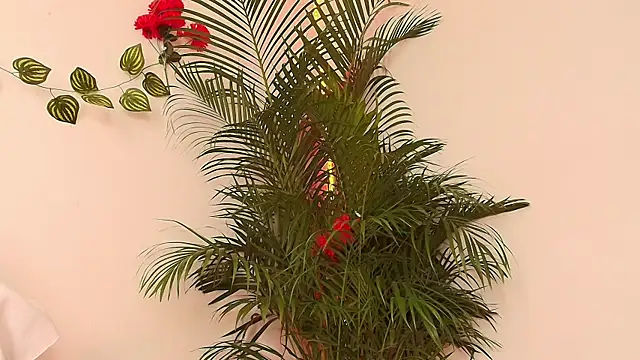 Carol_Miss2 Chat XXX live