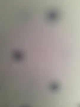 ratoncito_3 Live XXX-chat