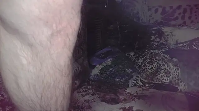 littledaddyflex 现场XXX聊天